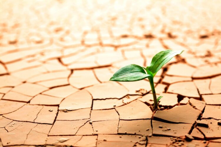 O Poder das Parcerias no Empreendedorismo